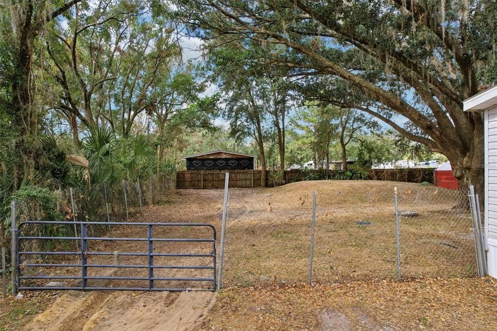 Back yard, Septic Tank is the raised area to the right of the photo.