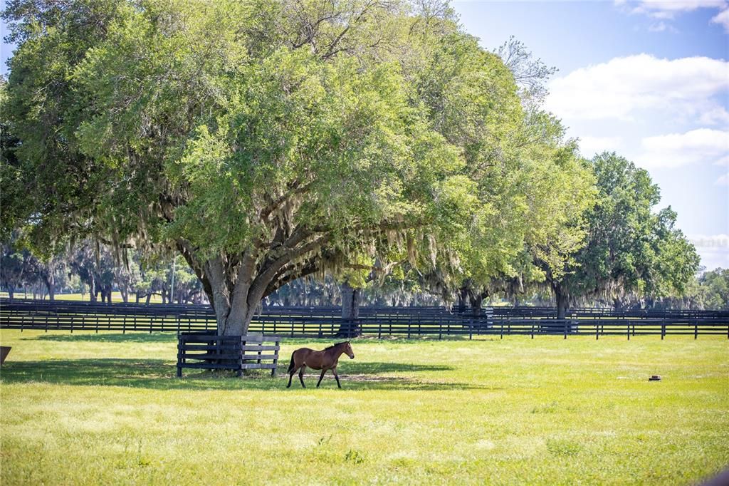 For Sale: $7,750,000 (4 beds, 2 baths, 1884 Square Feet)