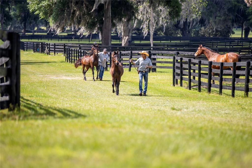 For Sale: $7,750,000 (4 beds, 2 baths, 1884 Square Feet)