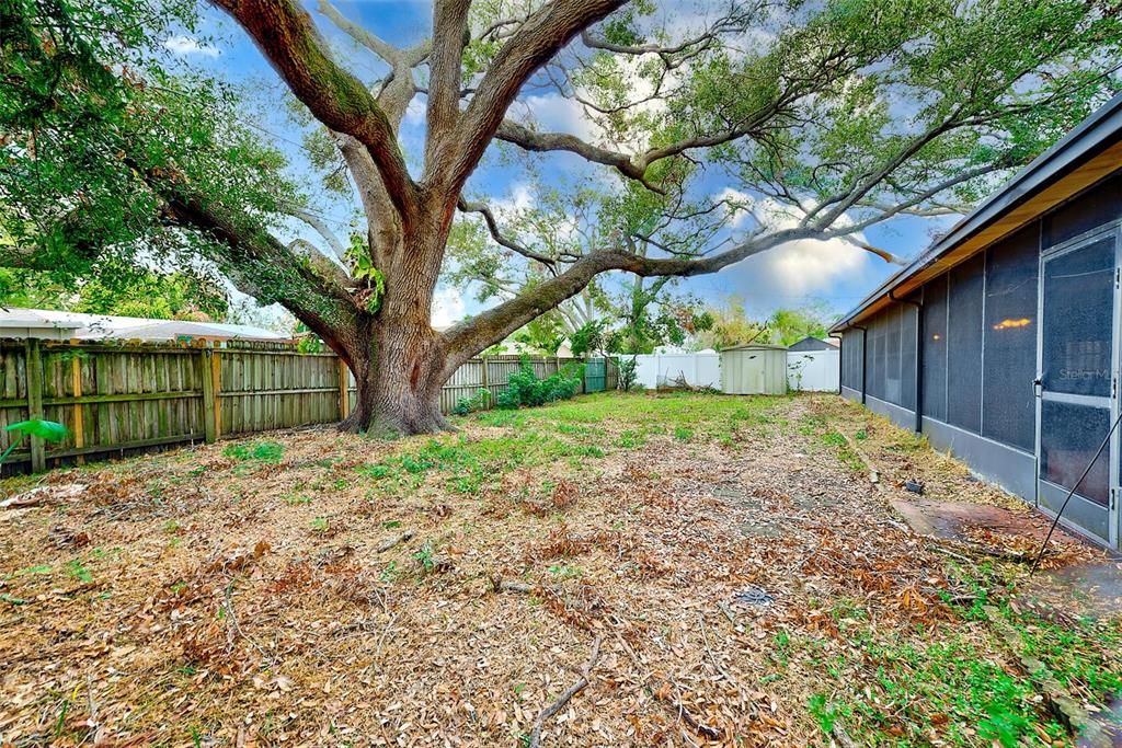 View of back yard with fence and shed