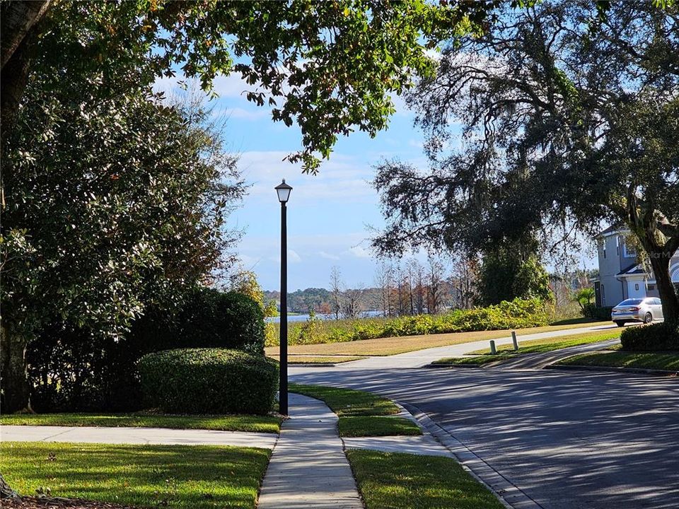 Looking toward Lake