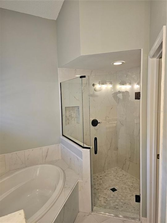 Newly remodeled Glass Shower Enclosure