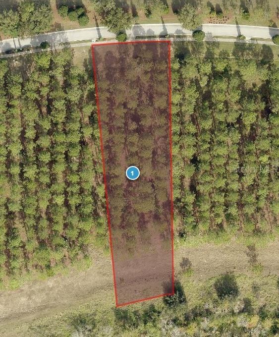 На продажу: $1,150,000 (1.21 acres)