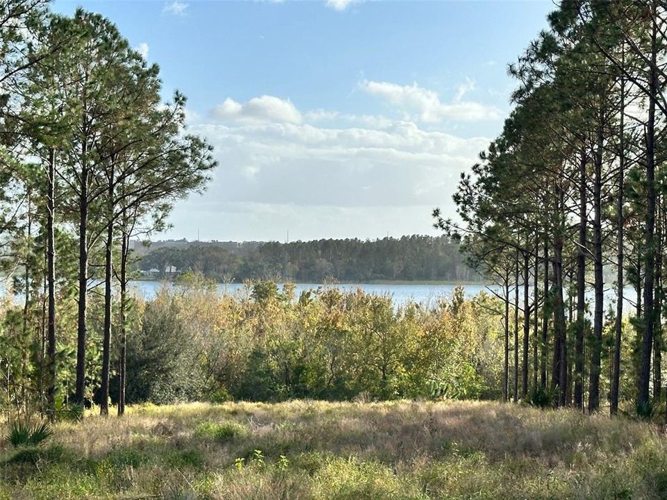 Под контрактом: $1,200,000 (1.21 acres)