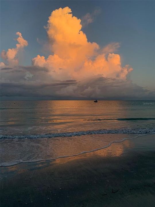 На продажу: $299,000 (1 спален, 2 ванн, 1050 Квадратных фут)