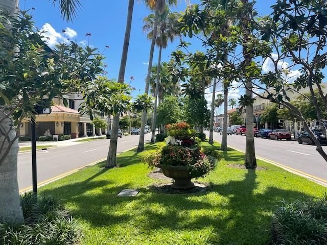 Venice Ave in Historic Venice