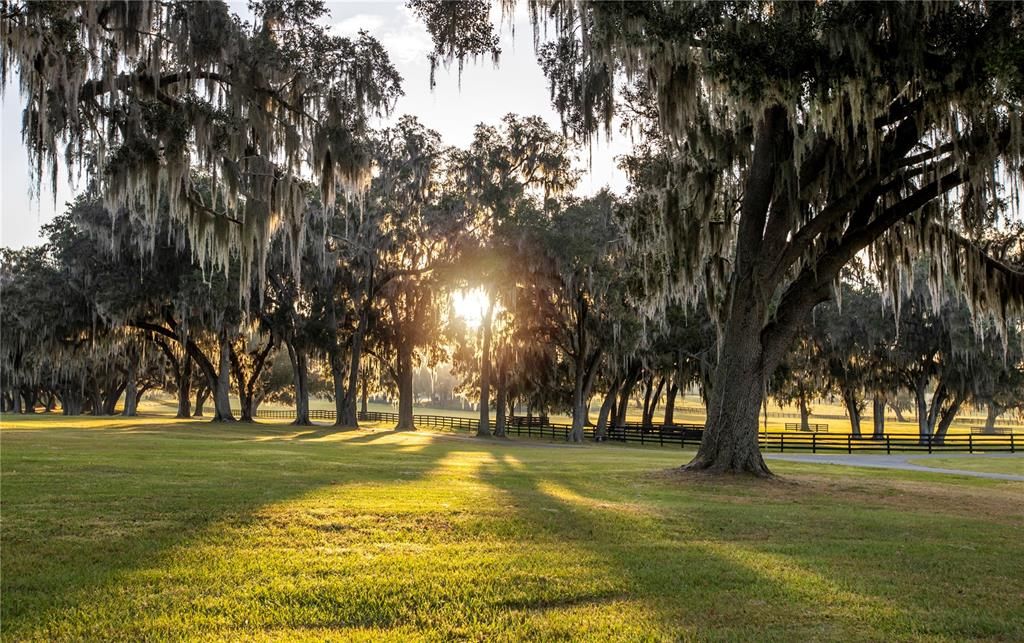 For Sale: $8,750,000 (1 beds, 1 baths, 200 Square Feet)