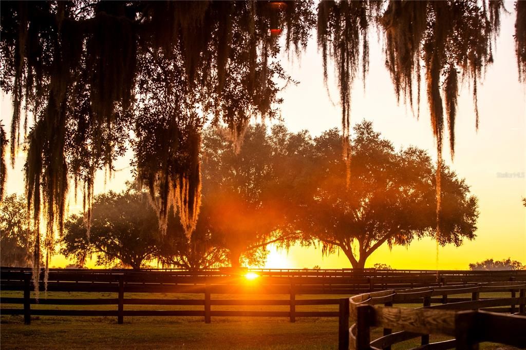 For Sale: $8,750,000 (1 beds, 1 baths, 200 Square Feet)