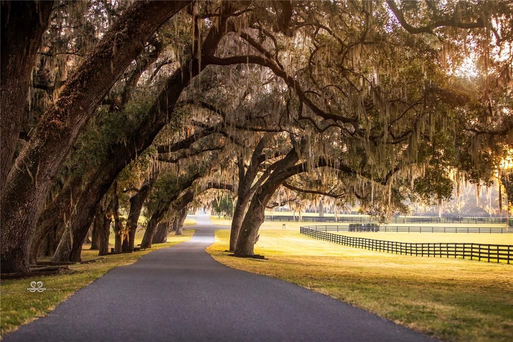 For Sale: $8,750,000 (1 beds, 1 baths, 200 Square Feet)