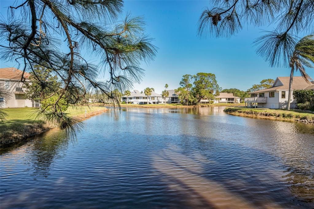 Back Pond View