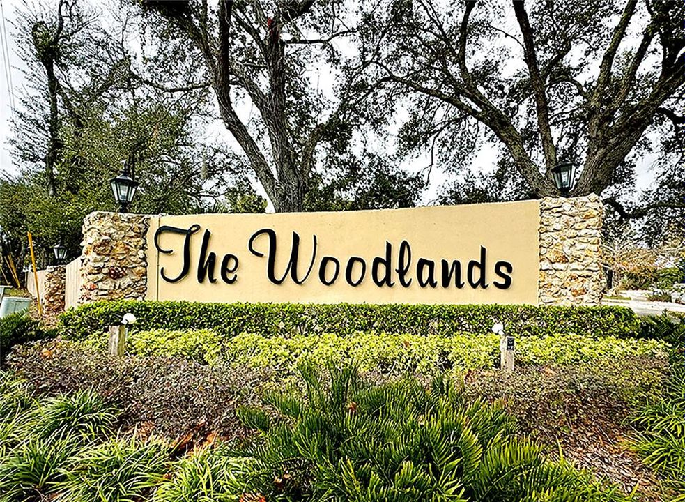 The Woodlands has no HOA, but an optional civic association.