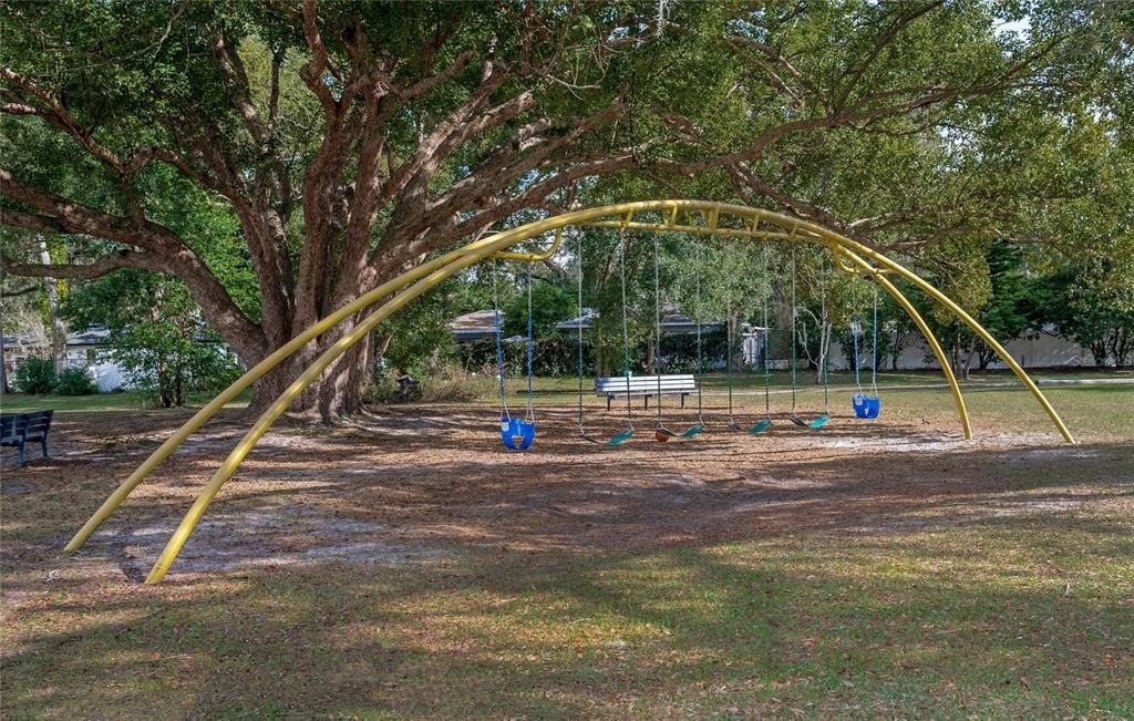 Swings in Woodlands Park