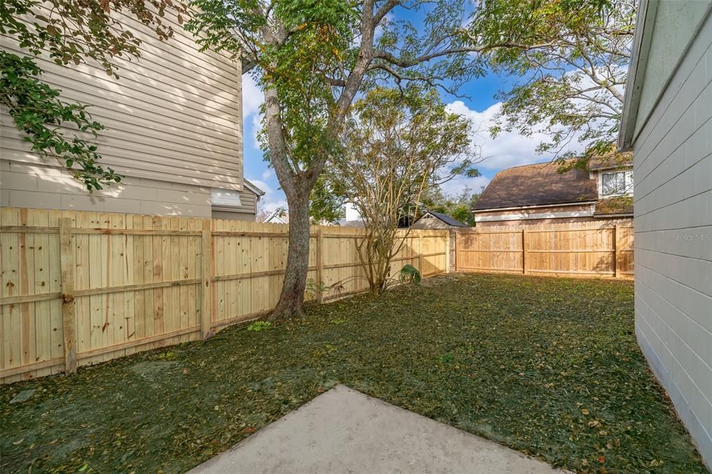 Backyard/Patio/New Privacy Fence