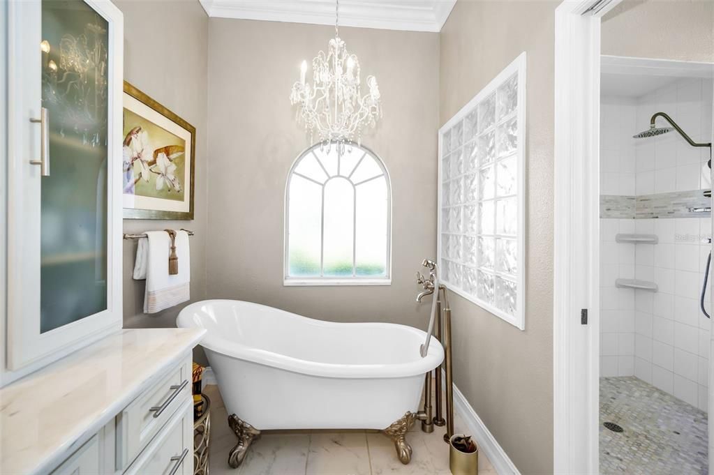 Master bath soaking tub