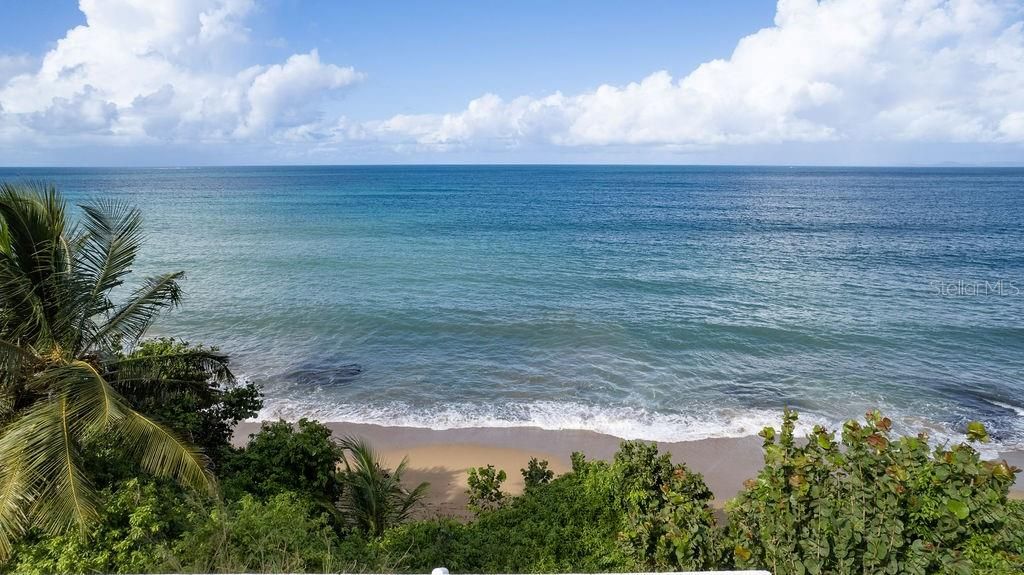 For Sale: $1,400,000 (7 beds, 4 baths, 2500 Square Feet)