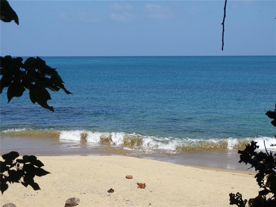 For Sale: $1,400,000 (7 beds, 4 baths, 2500 Square Feet)