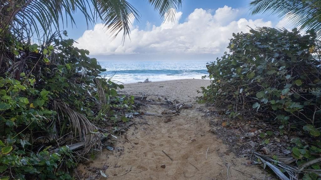 For Sale: $1,400,000 (7 beds, 4 baths, 2500 Square Feet)