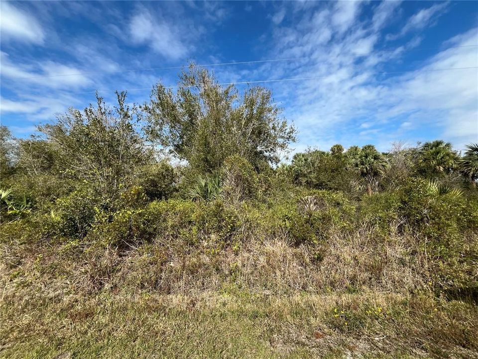 For Sale: $23,900 (1.25 acres)