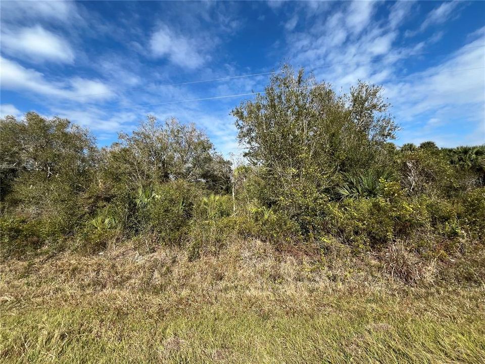 For Sale: $23,900 (1.25 acres)