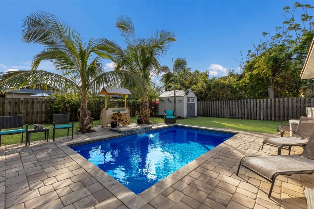 Pool and Backyard