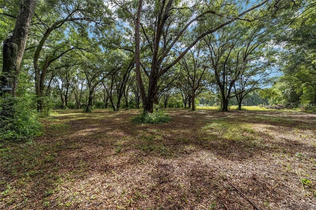 For Sale: $99,000 (2.05 acres)