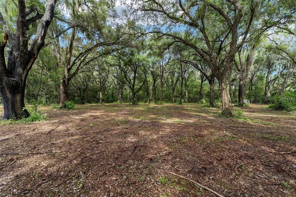 For Sale: $99,000 (2.05 acres)