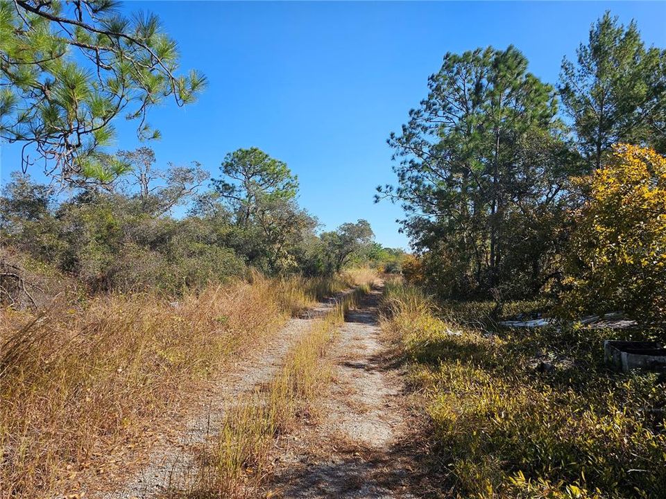 Road facing east