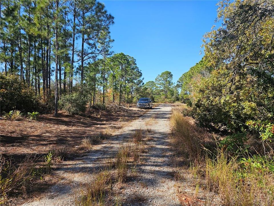 road facing west