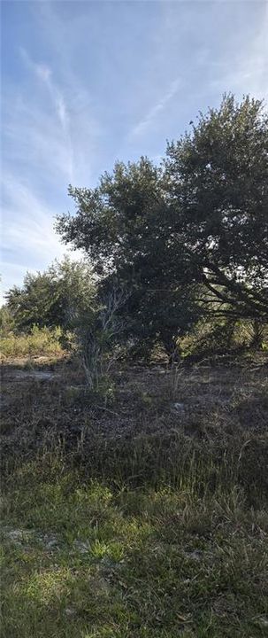 En Venta: $25,000 (1.25 acres)