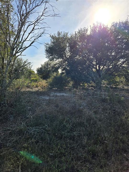 En Venta: $25,000 (1.25 acres)