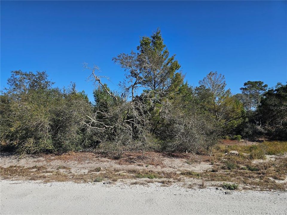 Imagine the possibilities of this 1/4 acre lot of land.