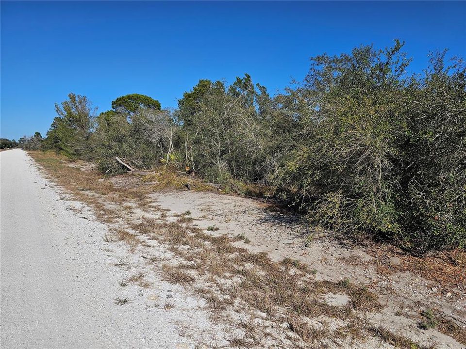 Road looking north.