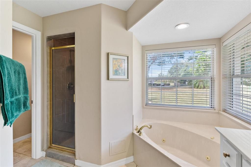 Primary bathroom features double vanity sinks, jacuzzi tub, walk in shower, and walk in closet.