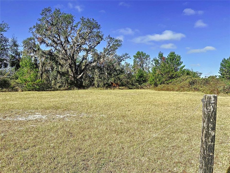 For Sale: $1,399,990 (9.75 acres)