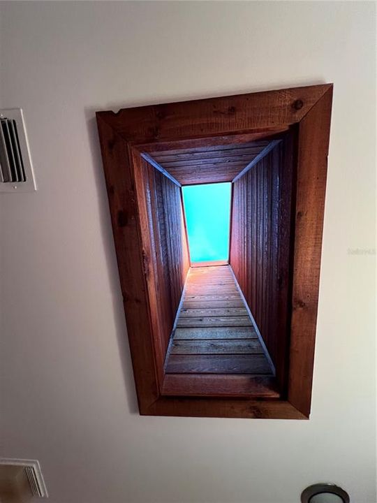 Skylight in Primary Bathroom