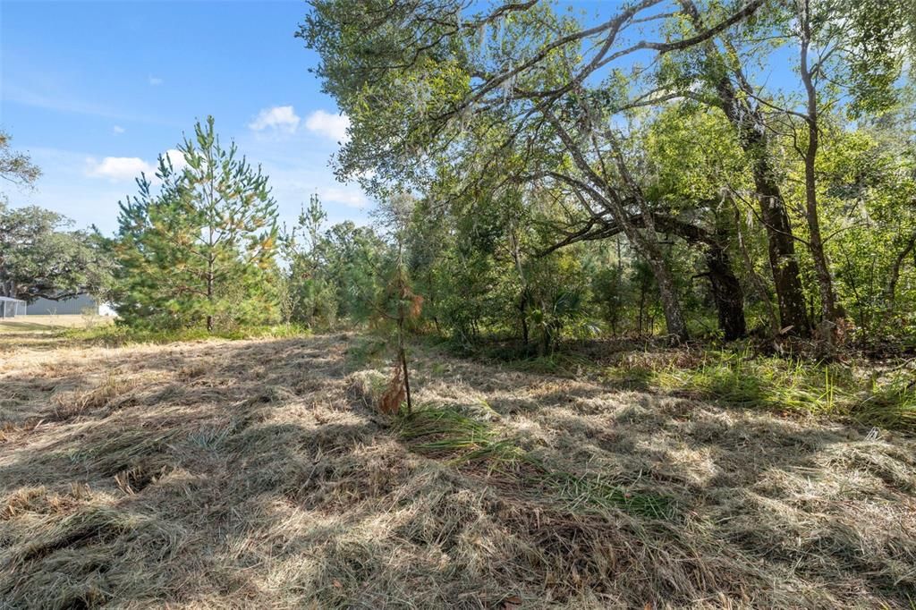 На продажу: $249,900 (5.00 acres)