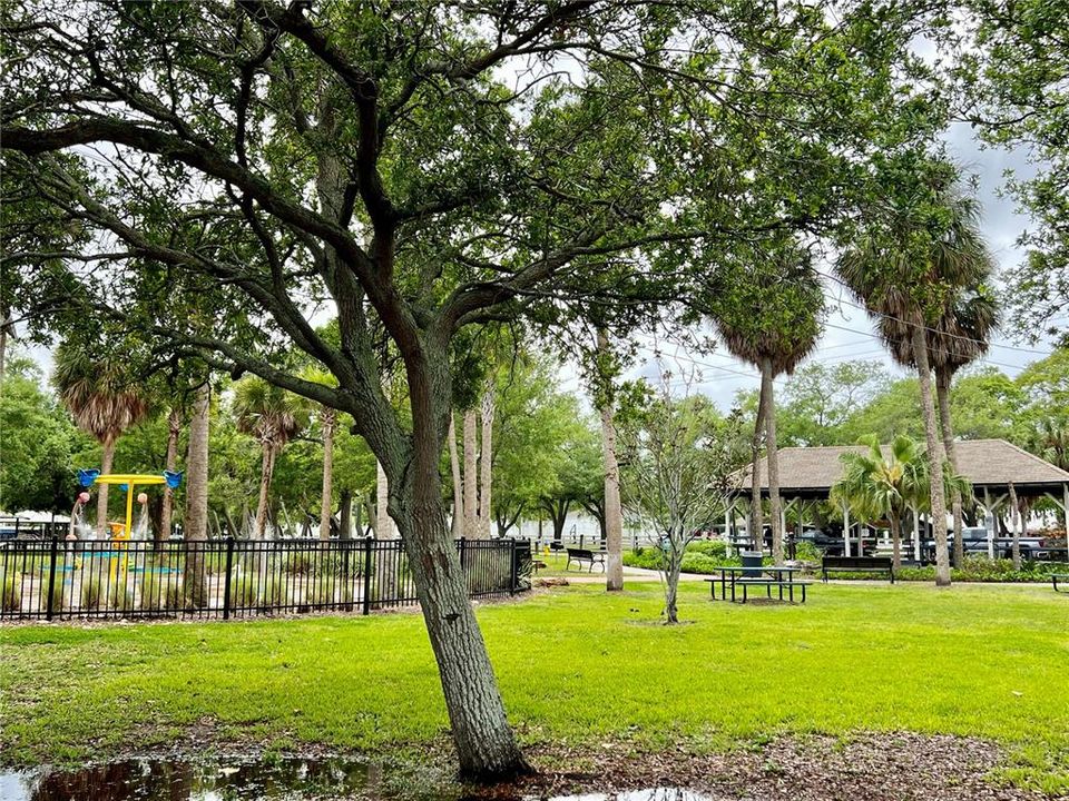 Shelters and green space in par