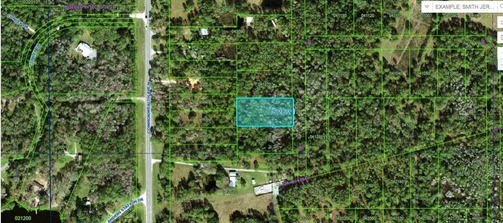 待售: $49,000 (1.24 acres)