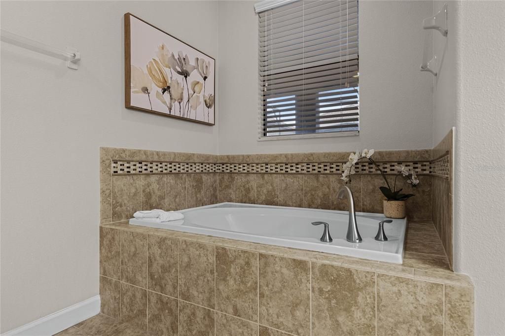 Master Bathroom Soaker Bath