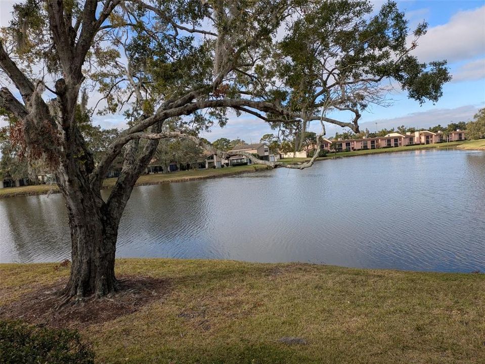 For Sale: $210,000 (2 beds, 2 baths, 1094 Square Feet)