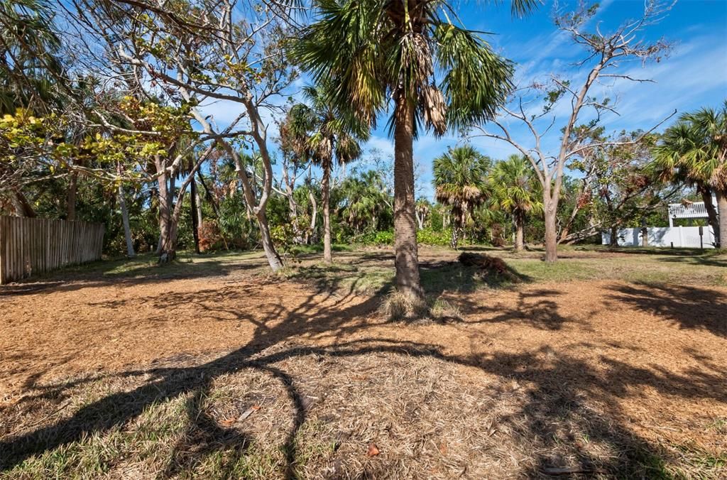 Plentiful vegetation provides privacy between the rear of the property and the bordering park.