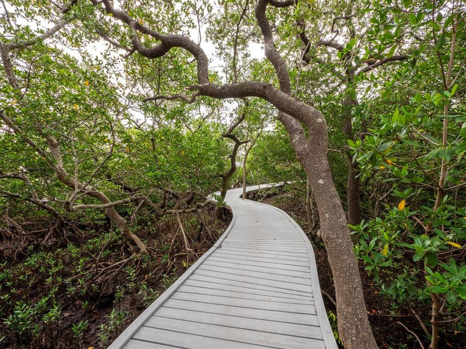 There is an abundance of boardwalk trails throughout the 32-acre preserve.