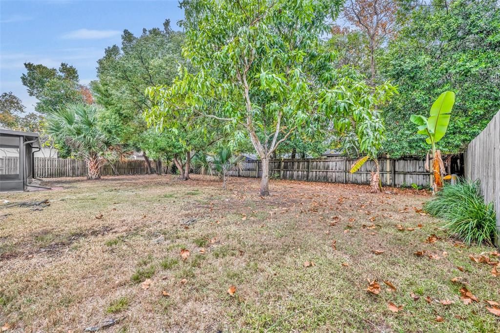 Lots of trees keeps the backyard cool in the summer, a dogs paradise.