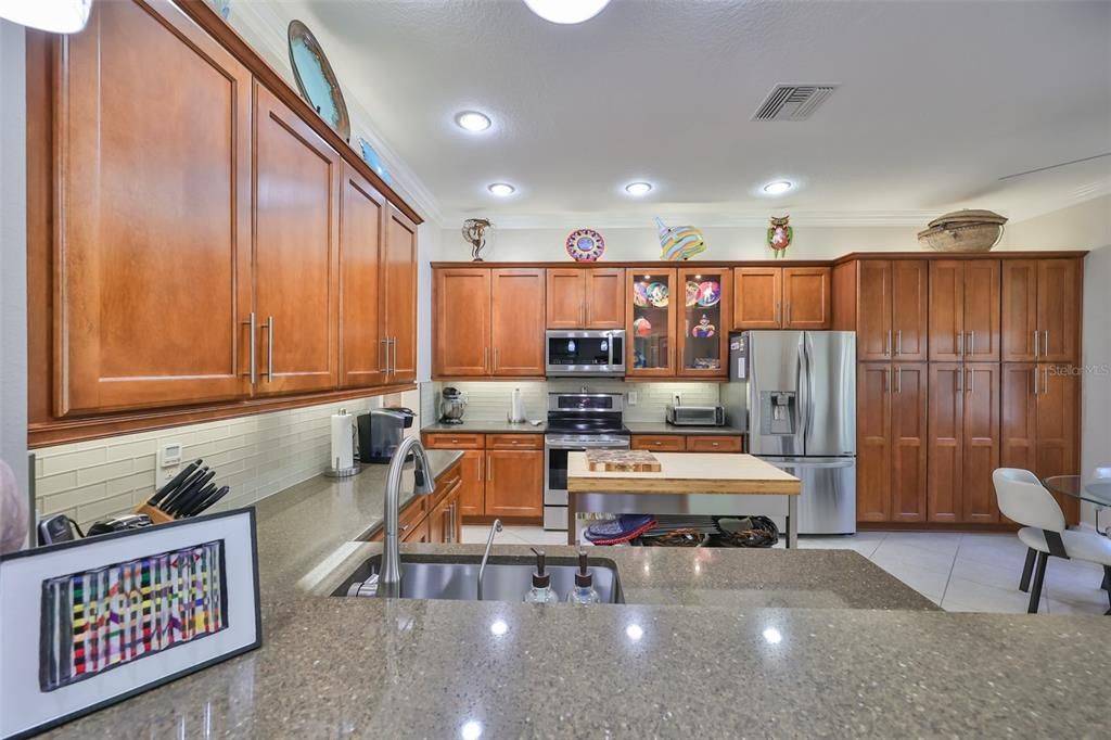 Fantastic Kitchen with Quartz counters, lovely cabinetry with all pull outs, Stainless county sink and appliances, up lighting and under the cabinet lighting