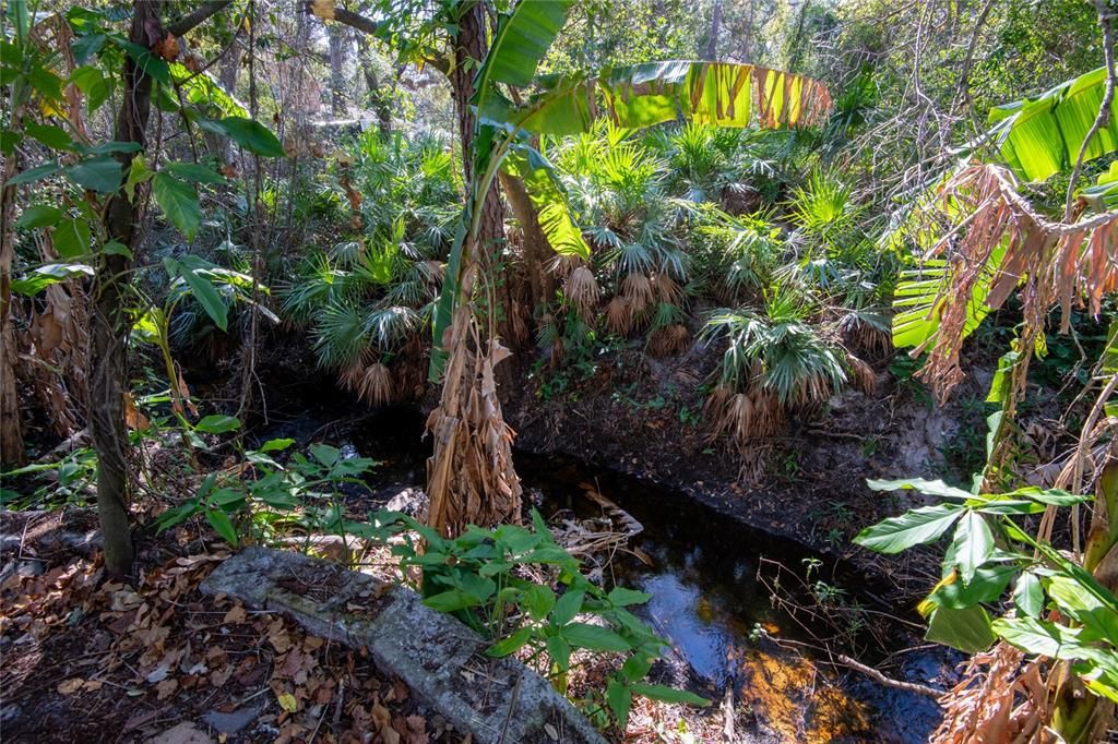 13 mile creek runs the edge of the property.