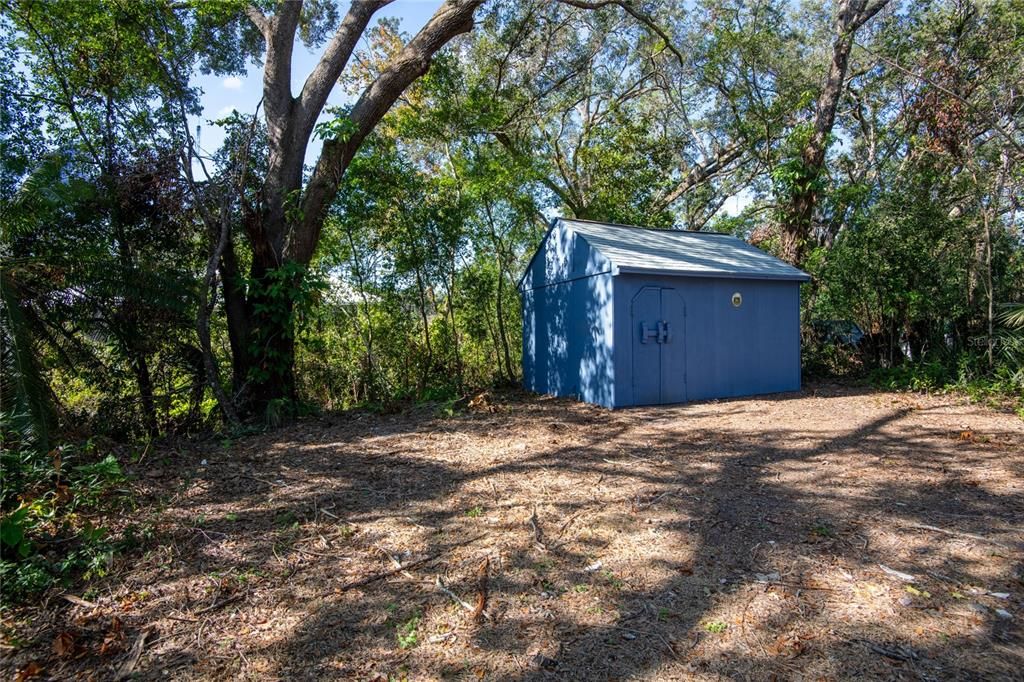 Storage shed with electric.