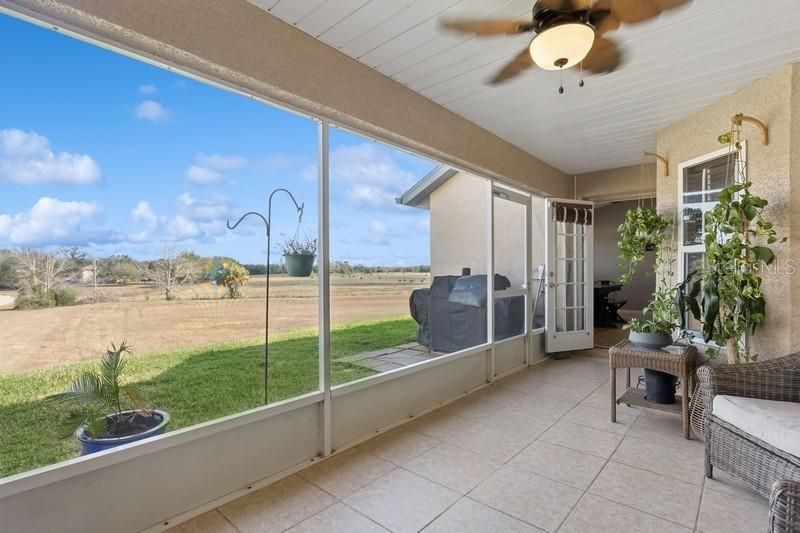 back patio view of open field