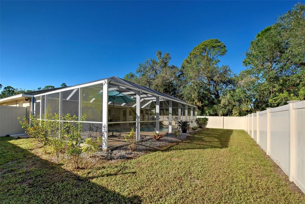 Fenced back yard