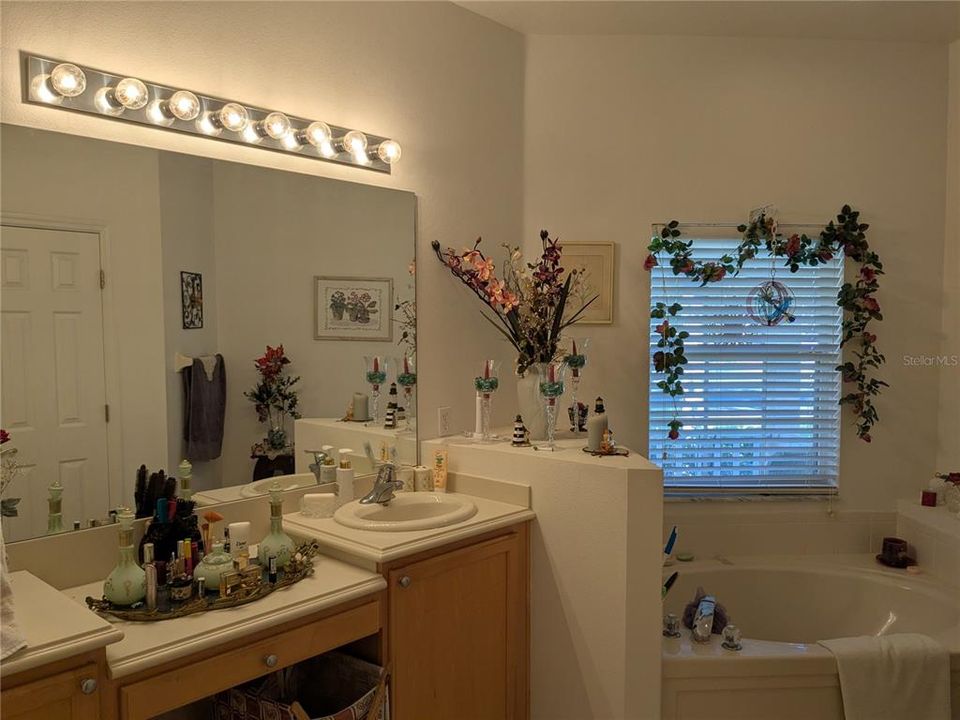 primary bathroom with tub