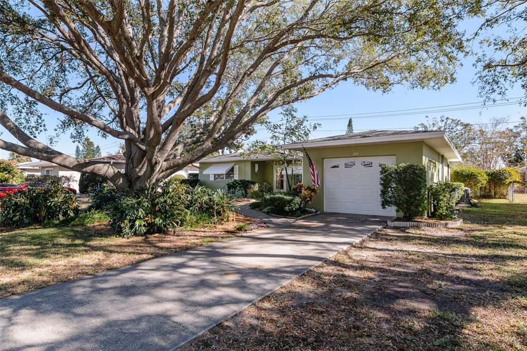 The picturesque live oak offers precious summer shade.